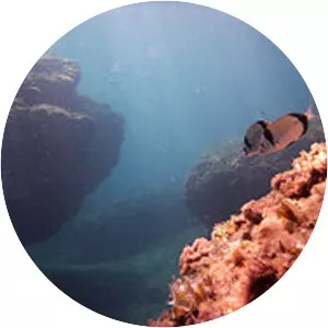 Islas Hormigas - Island in the Region of Murcia, Spain