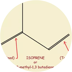 Isoprene - 