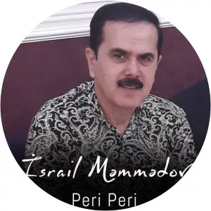 İsrail Memmedov - Musical artist