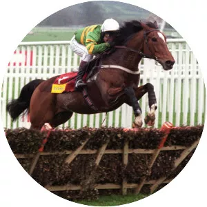 Istabraq - 