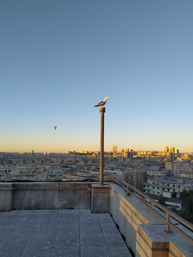 Istituto Suore Gianelline - Religious institution in Genoa, Italy