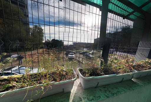 Istoki, Kul'turno-Dosugovyy Tsentr