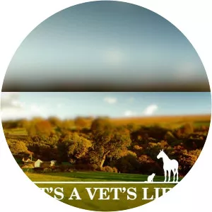 It's a Vet's Life - TV program