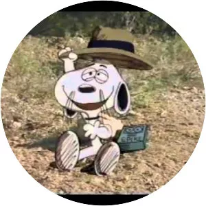 It's the Girl in the Red Truck, Charlie Brown - TV program