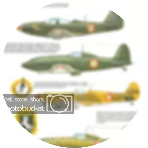 Italian Co-belligerent Air Force