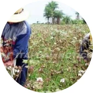 Itapúa Department - 