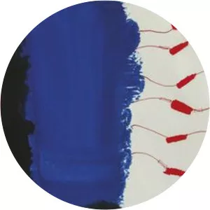 Iuri Salvagnini - Musical artist