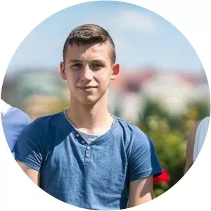 Ivan Anušić - Politician