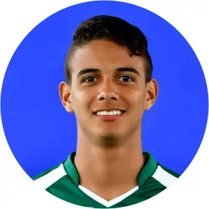 Iván Camilo Ibañez Mojica