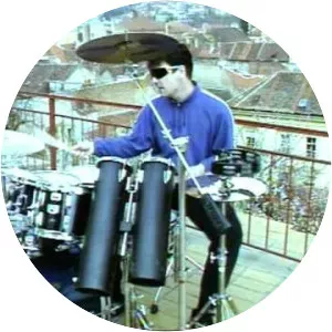 Ivan Stančić Musician