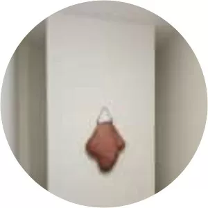 Ivens Machado - Brazilian engraver