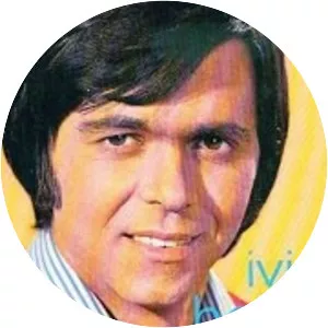 Ivica Bobinec - Musical artist