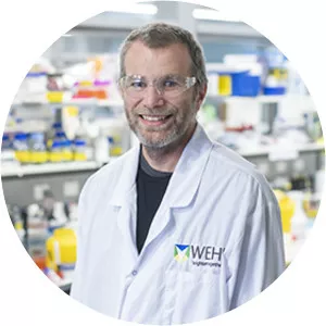 Ivo Mueller - Researcher