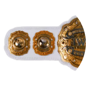 IWGP Intercontinental Championship - Sports league championship