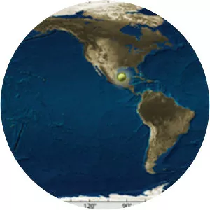 Ixtoc I oil spill - Oil field
