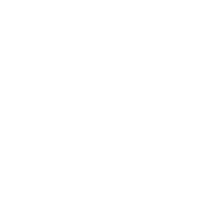 Izmir University Of Economics