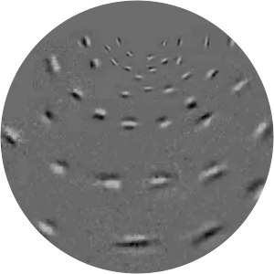 Izumi Ohzawa - Researcher