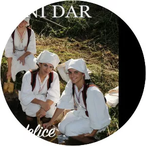 Izvorni dar - Musical artist