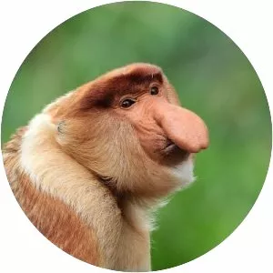 J. Cede Prudente - Author