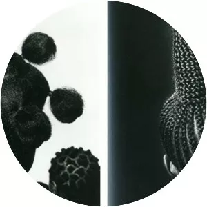 J. D. 'Okhai Ojeikere