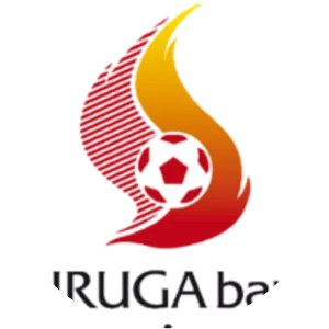 J. League Cup / Copa Sudamericana Championship - Football league