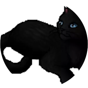 Jackdaw's Cry - Fictional character