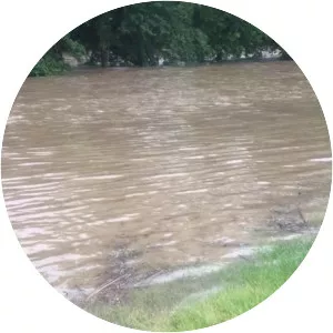 Jackson River - Tributary in Virginia