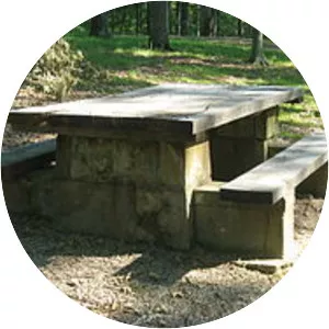 Jackson-Washington State Forest - 