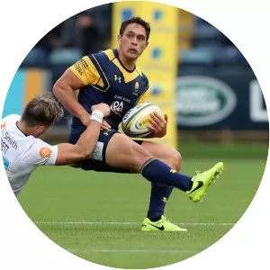 Jackson Willison - New Zealand rugby player