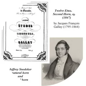 Jacques-François Gallay