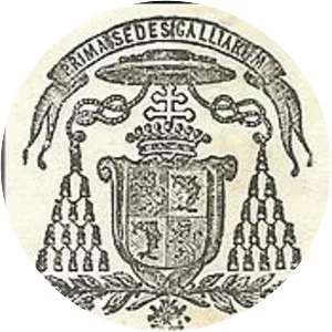 Jacques-Marie-Achille Ginoulhiac - Archbishop