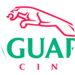 Jaguar Racing