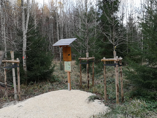 Jahrbaumallee - Tourist attraction in Bad Worishofen, Germany