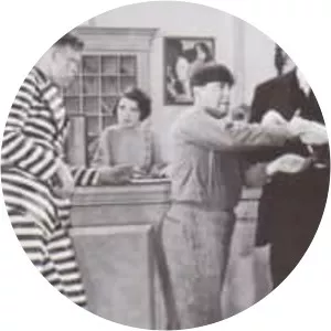 Jail Birds of Paradise photograph