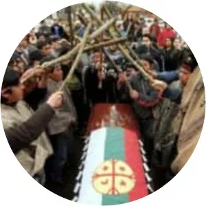 Jaime Mendoza Collio