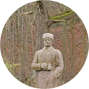 Jakob Palvadre - Politician