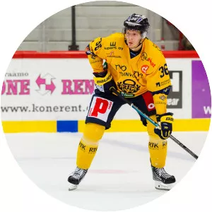 Jakub Krejčík - Ice hockey defenseman