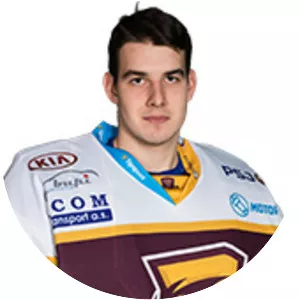 Jakub Škarek - Ice hockey player