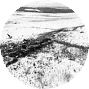 JAL Cargo Flight 8054 - Airplane crash