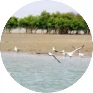 Jambudwip - Island in Jammu Island, India