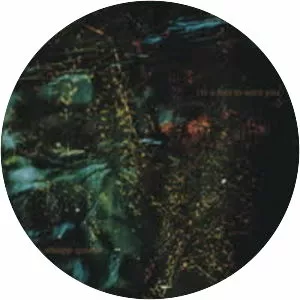 noa fort james allsopp quartet - Musical group