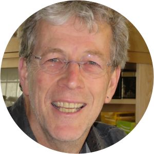 James Bennett Levy photograph