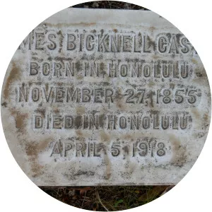 James Bicknell Castle