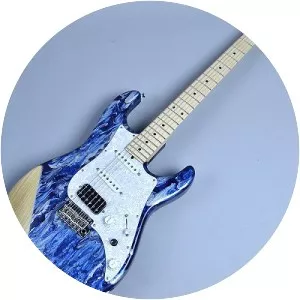 James Tyler Guitars - Company