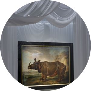 Jan Albert Sichterman