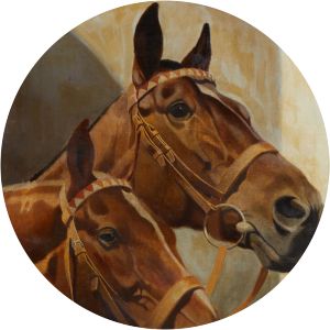 Jan Ferdinand Pistorius