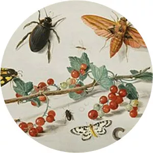 Jan van Kessel the Elder