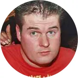 Jan Voermans - Musical artist