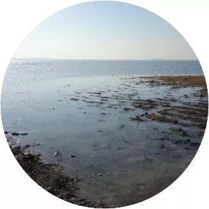 Jandari Lake - Lake in Asia