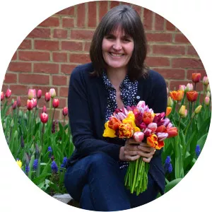 Jane Brocket - Author